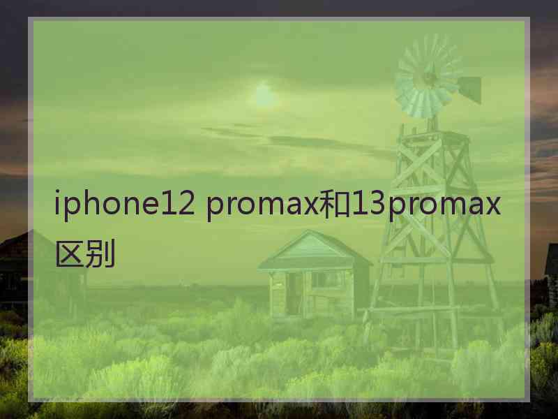 iphone12 promax和13promax区别