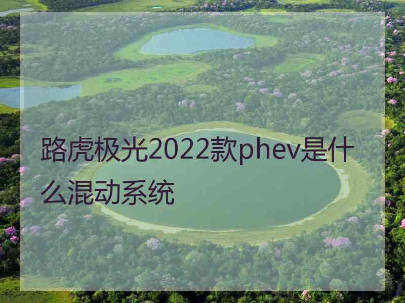 路虎极光2022款phev是什么混动系统