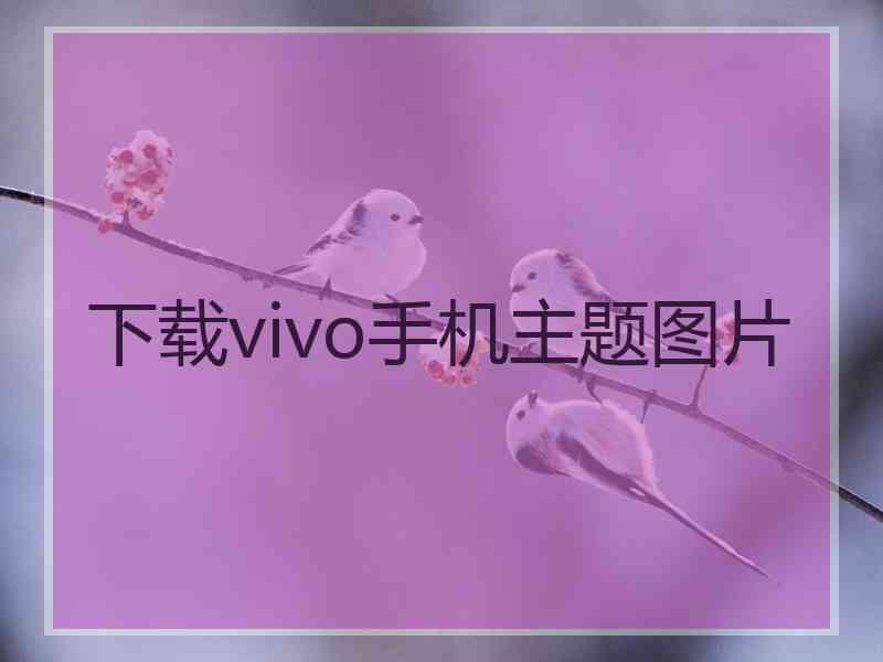 下载vivo手机主题图片