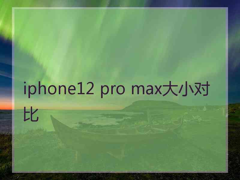 iphone12 pro max大小对比