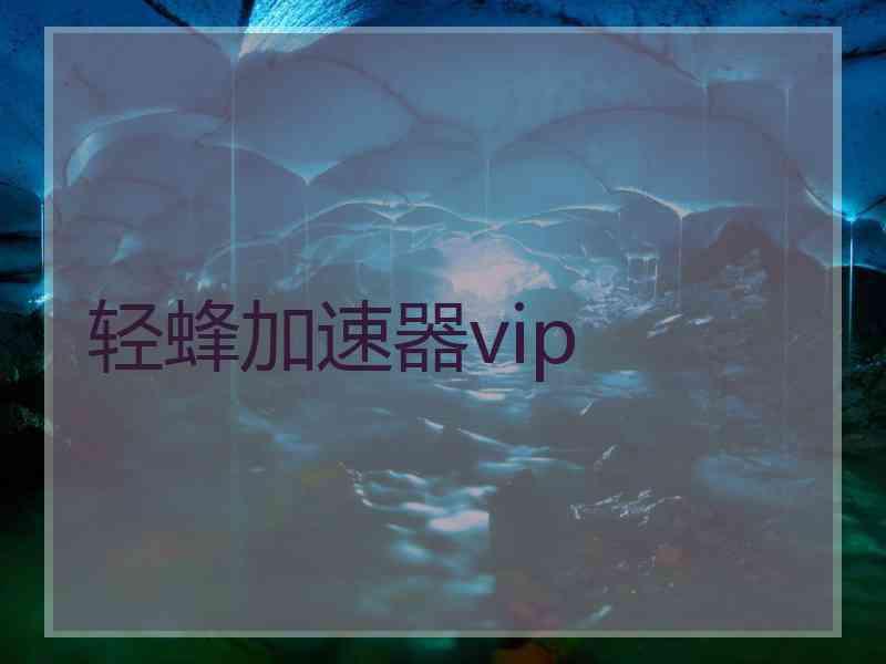 轻蜂加速器vip