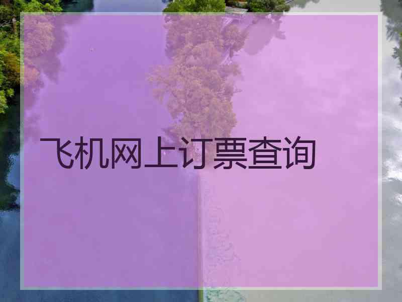 飞机网上订票查询