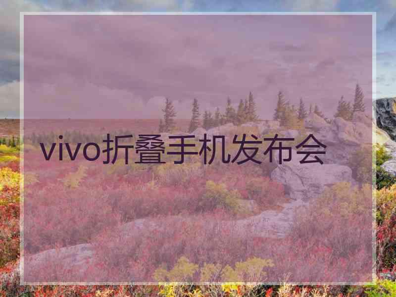 vivo折叠手机发布会