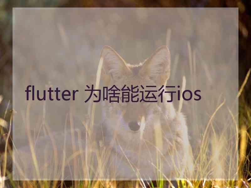 flutter 为啥能运行ios