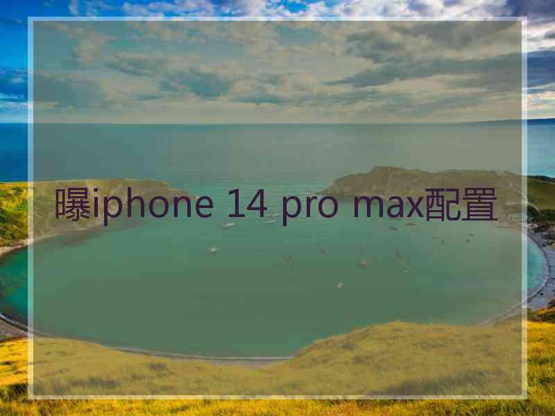 曝iphone 14 pro max配置