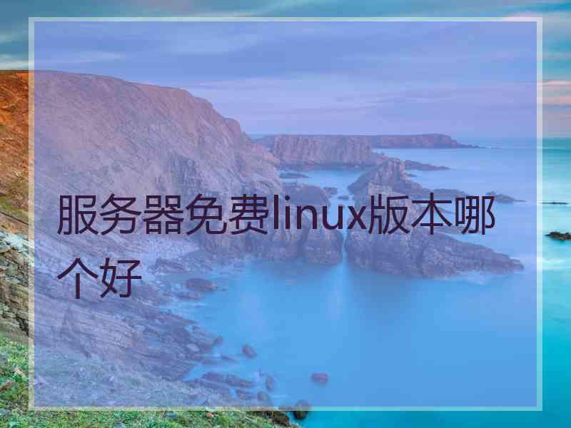 服务器免费linux版本哪个好