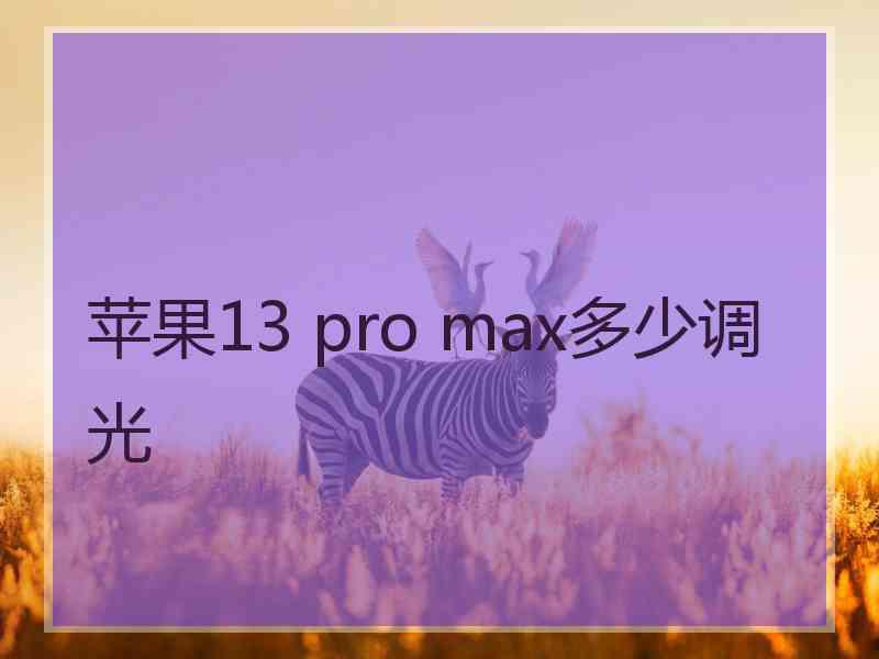 苹果13 pro max多少调光