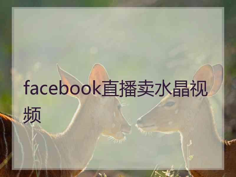 facebook直播卖水晶视频