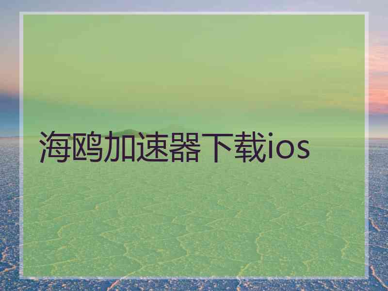 海鸥加速器下载ios