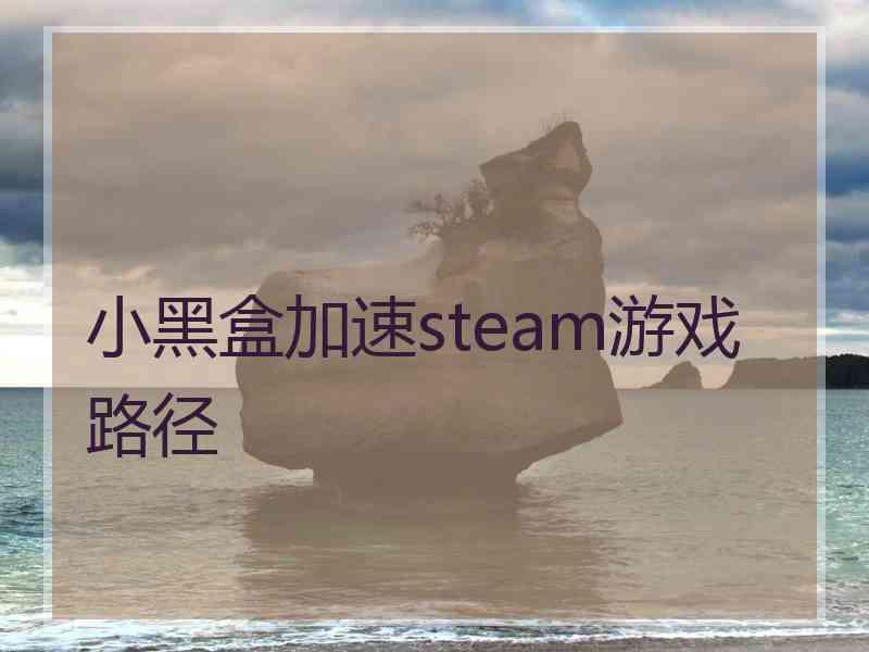 小黑盒加速steam游戏路径