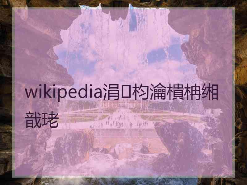 wikipedia涓枃瀹樻柟缃戠珯