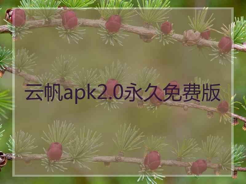 云帆apk2.0永久免费版