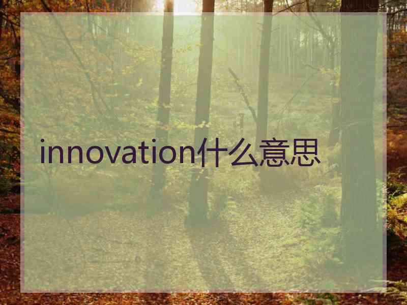 innovation什么意思