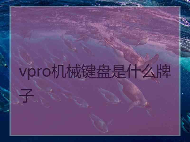 vpro机械键盘是什么牌子