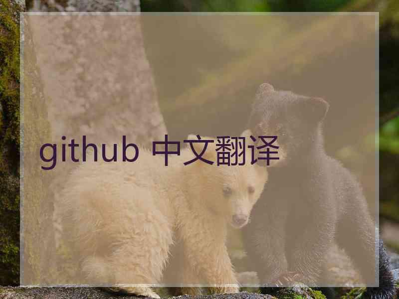 github 中文翻译