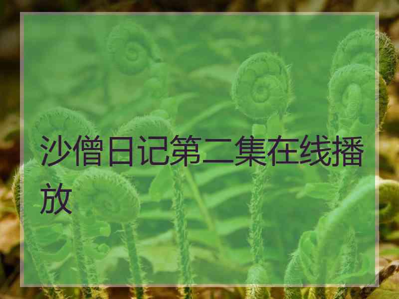 沙僧日记第二集在线播放