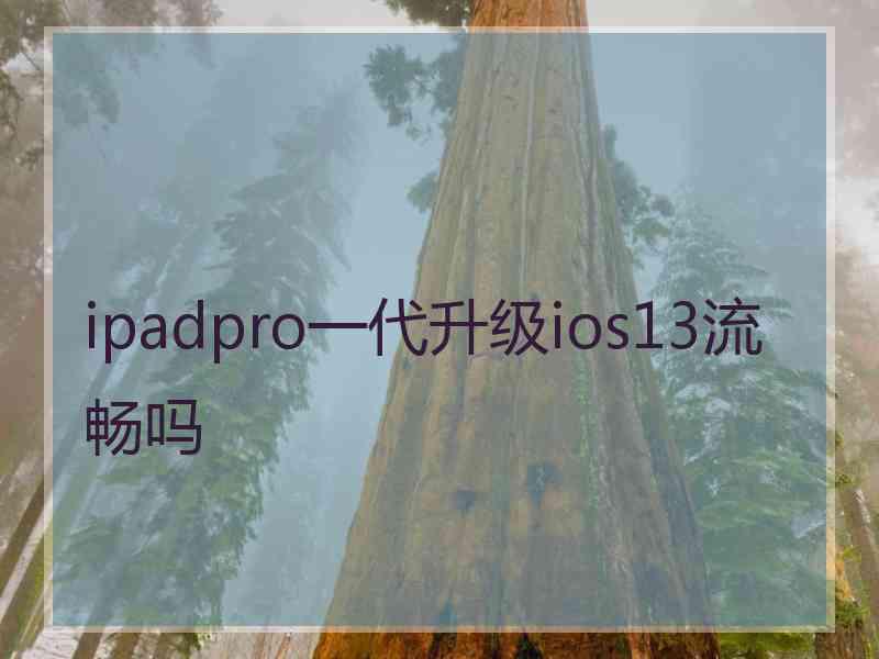 ipadpro一代升级ios13流畅吗