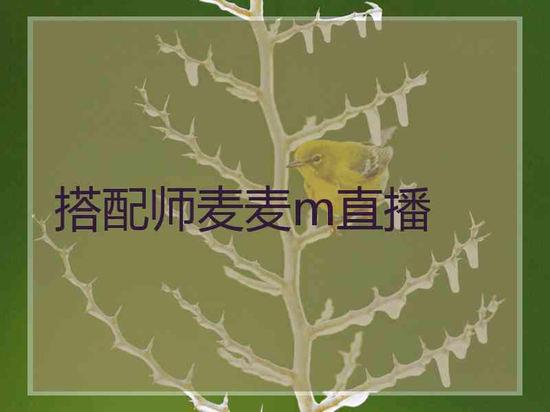 搭配师麦麦m直播