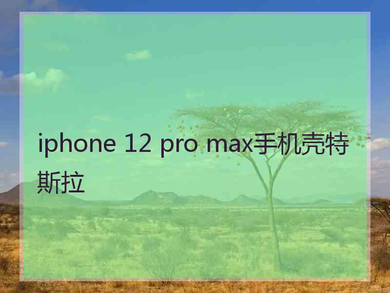 iphone 12 pro max手机壳特斯拉