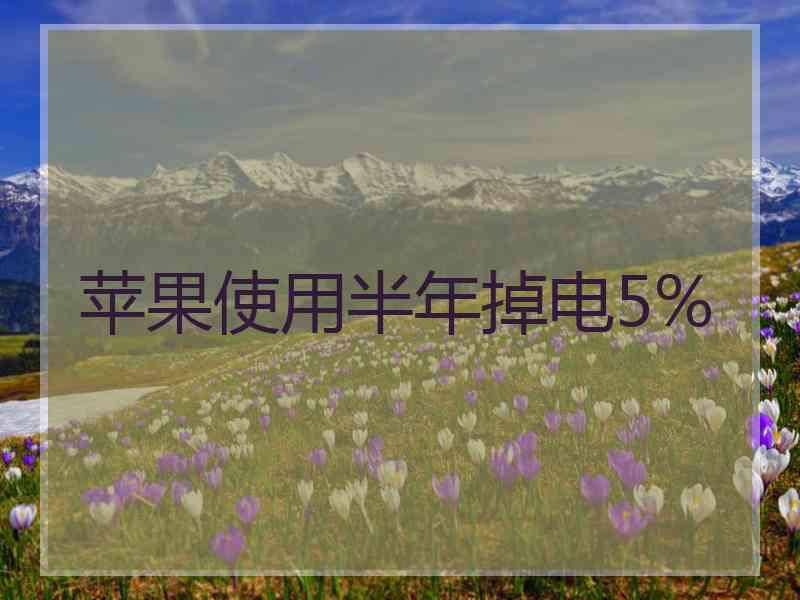 苹果使用半年掉电5%