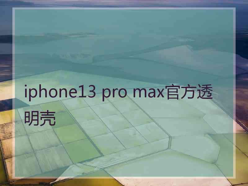 iphone13 pro max官方透明壳