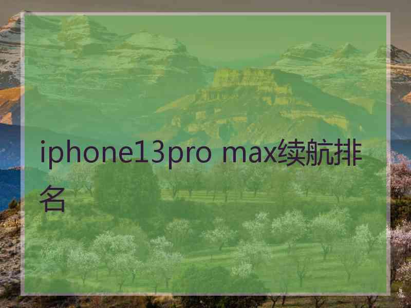 iphone13pro max续航排名