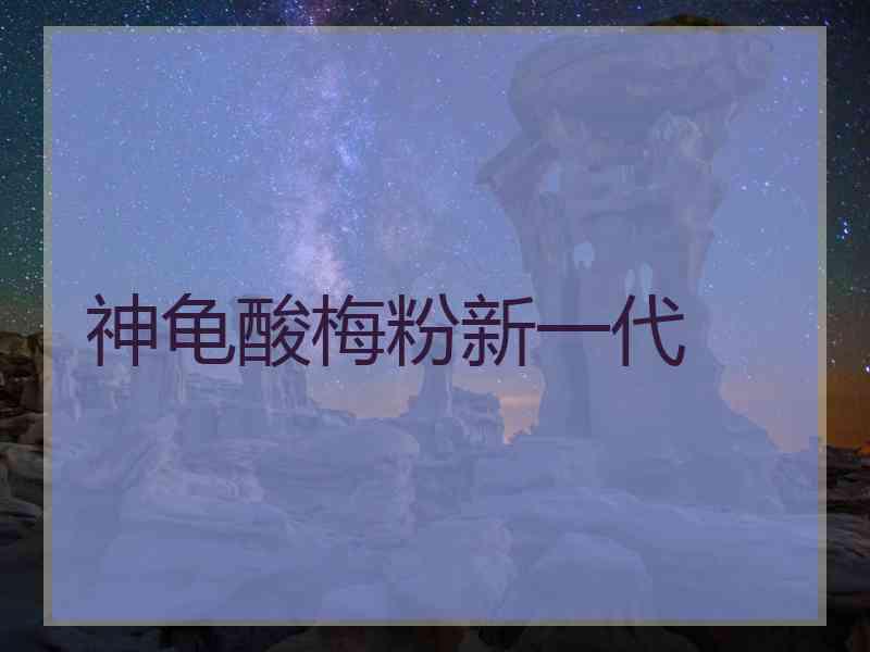 神龟酸梅粉新一代