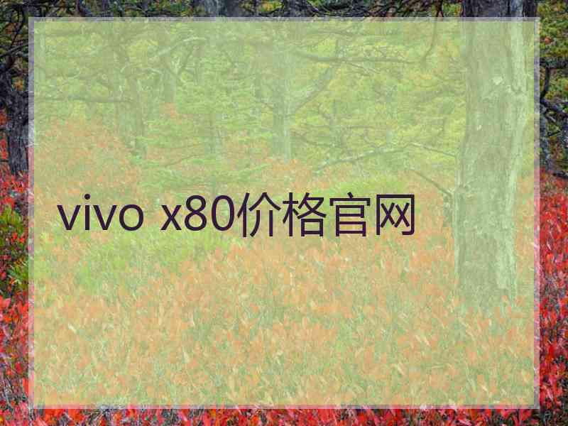 vivo x80价格官网