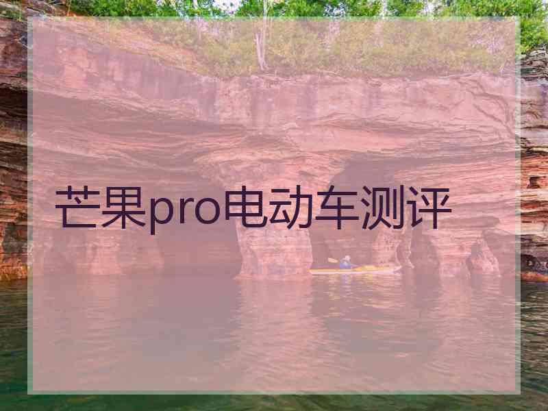 芒果pro电动车测评