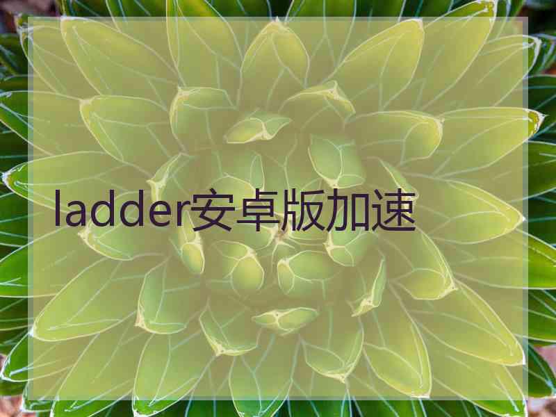 ladder安卓版加速