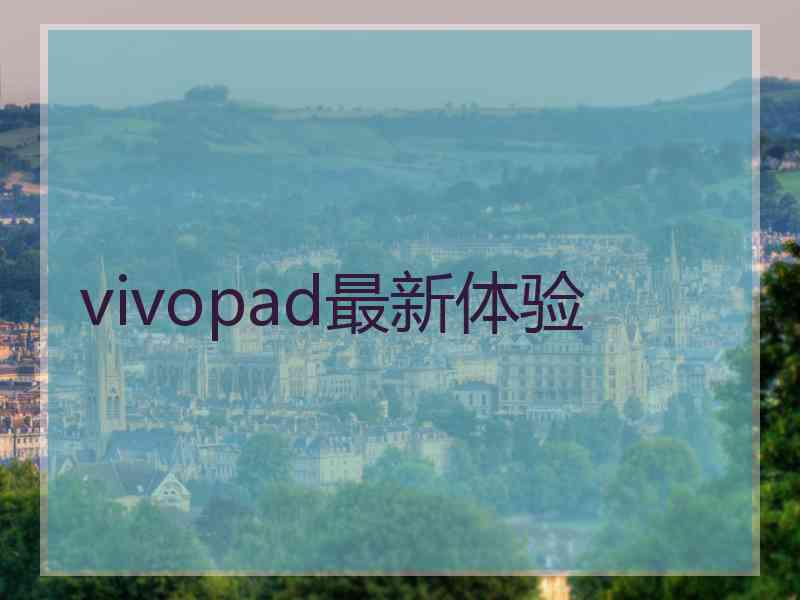 vivopad最新体验