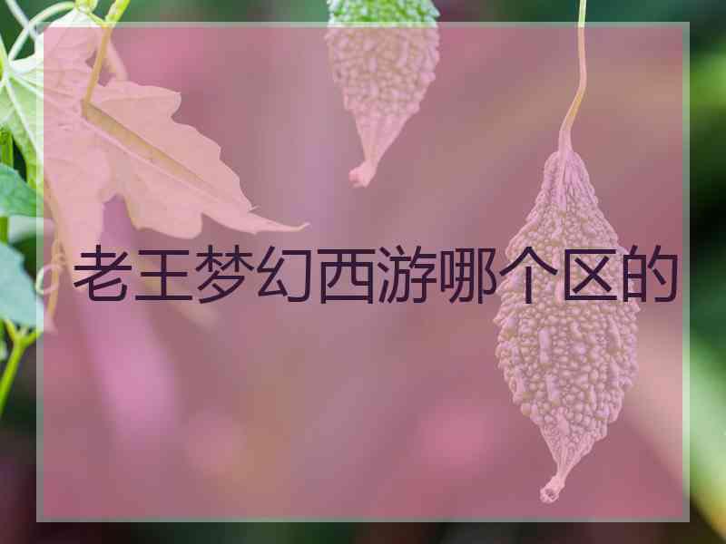 老王梦幻西游哪个区的