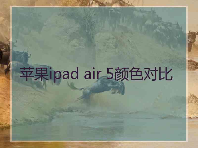 苹果ipad air 5颜色对比