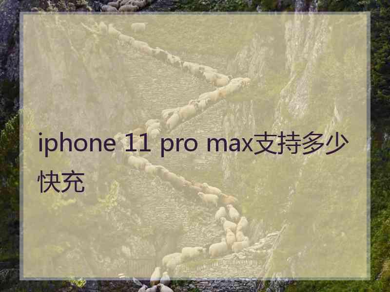 iphone 11 pro max支持多少快充