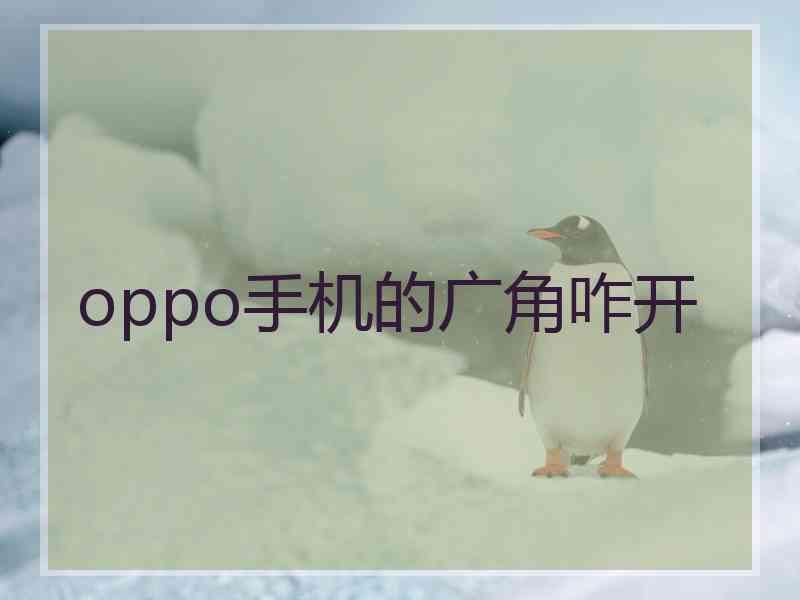 oppo手机的广角咋开