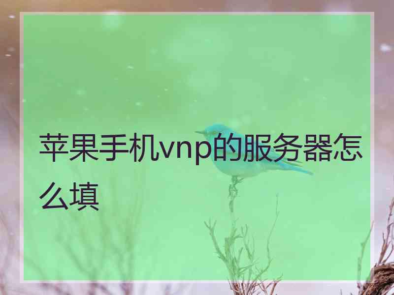 苹果手机vnp的服务器怎么填