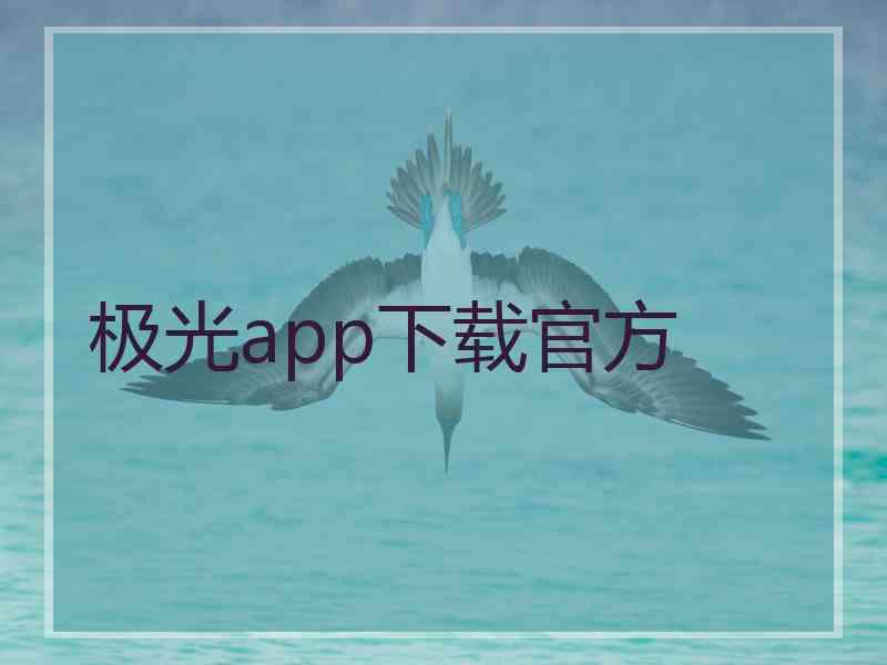 极光app下载官方