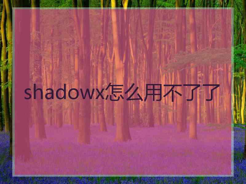 shadowx怎么用不了了