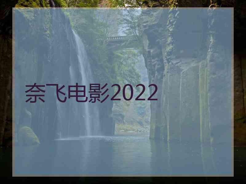 奈飞电影2022