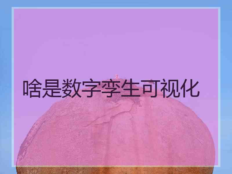 啥是数字孪生可视化