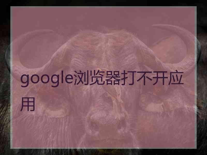 google浏览器打不开应用