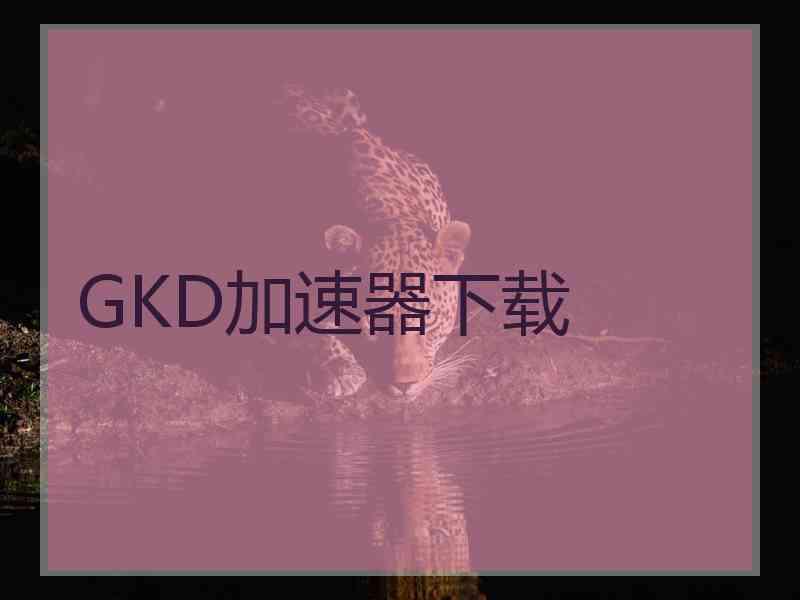 GKD加速器下载