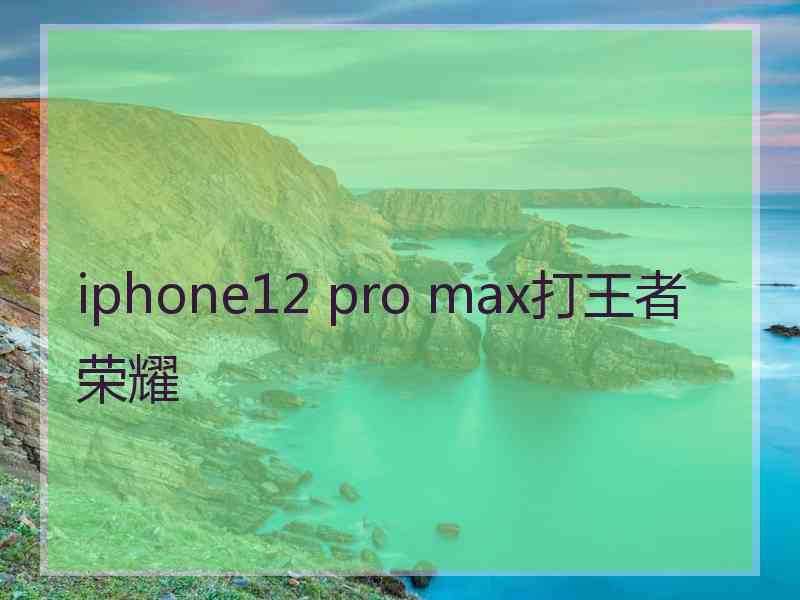 iphone12 pro max打王者荣耀