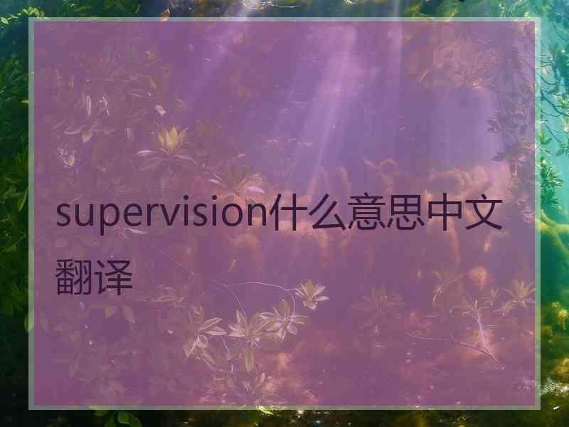 supervision什么意思中文翻译