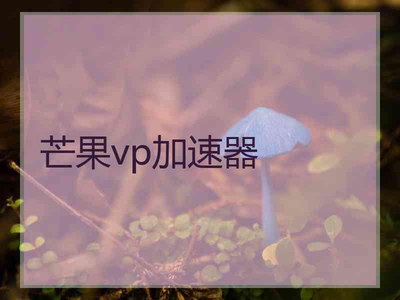 芒果vp加速器