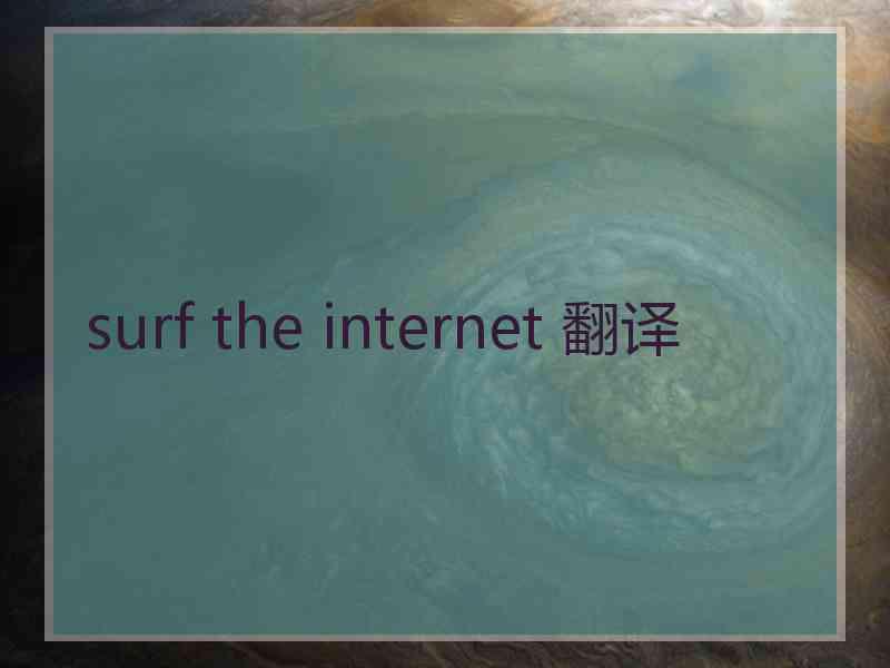 surf the internet 翻译