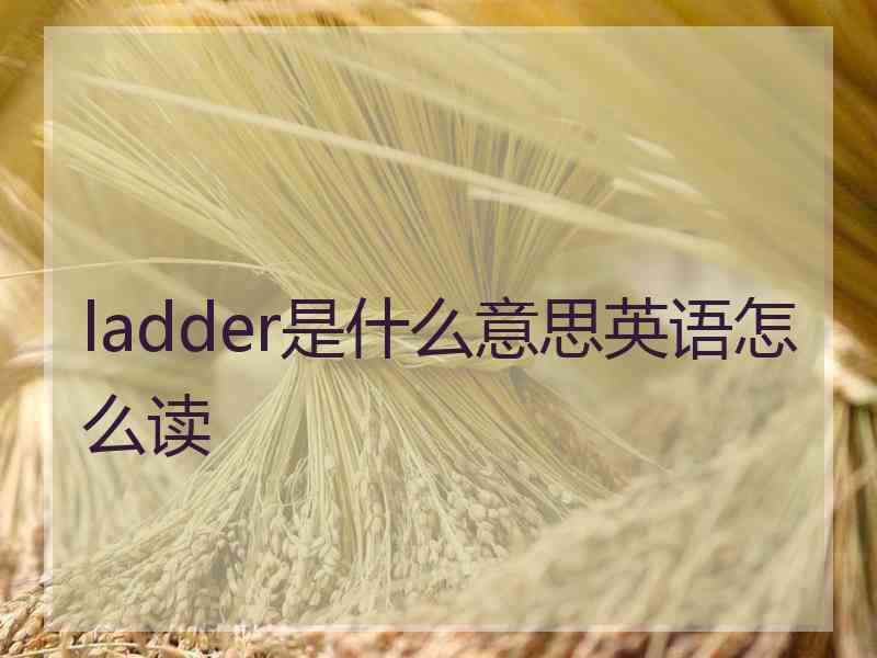 ladder是什么意思英语怎么读