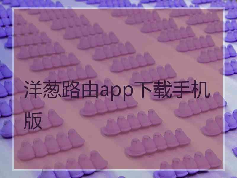 洋葱路由app下载手机版