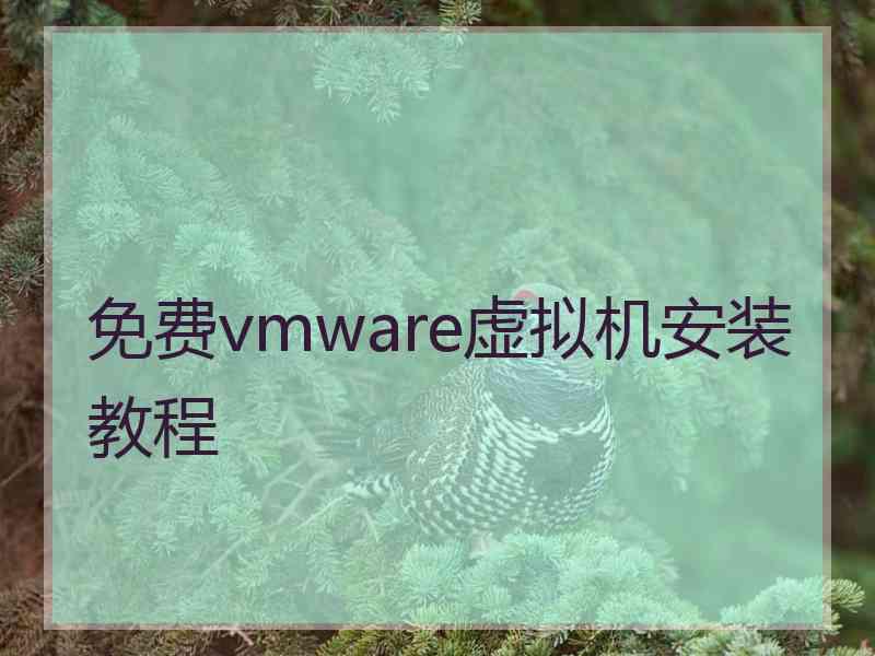 免费vmware虚拟机安装教程