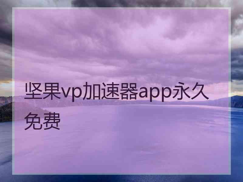 坚果vp加速器app永久免费